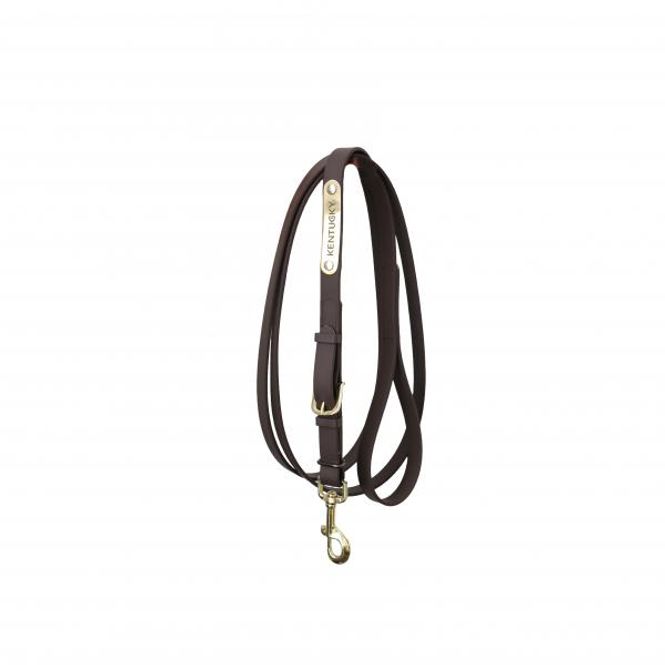 Hovedbilde Kentucky Presentation Lead 2 m