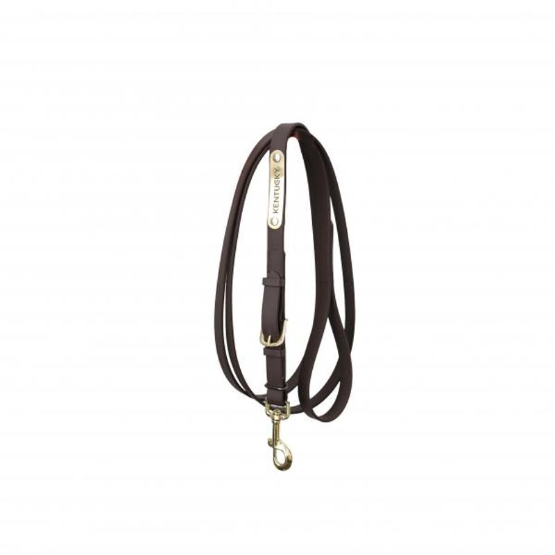 Kentucky Presentation Lead 2 m