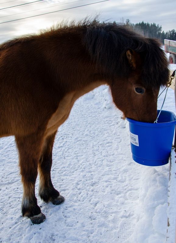 Varmebøtte 20 l inkl omformer 