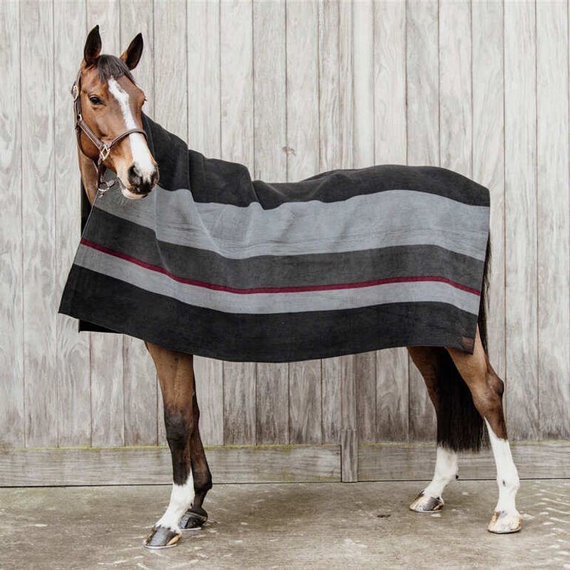 Kentucky Heavy Fleece Rug 