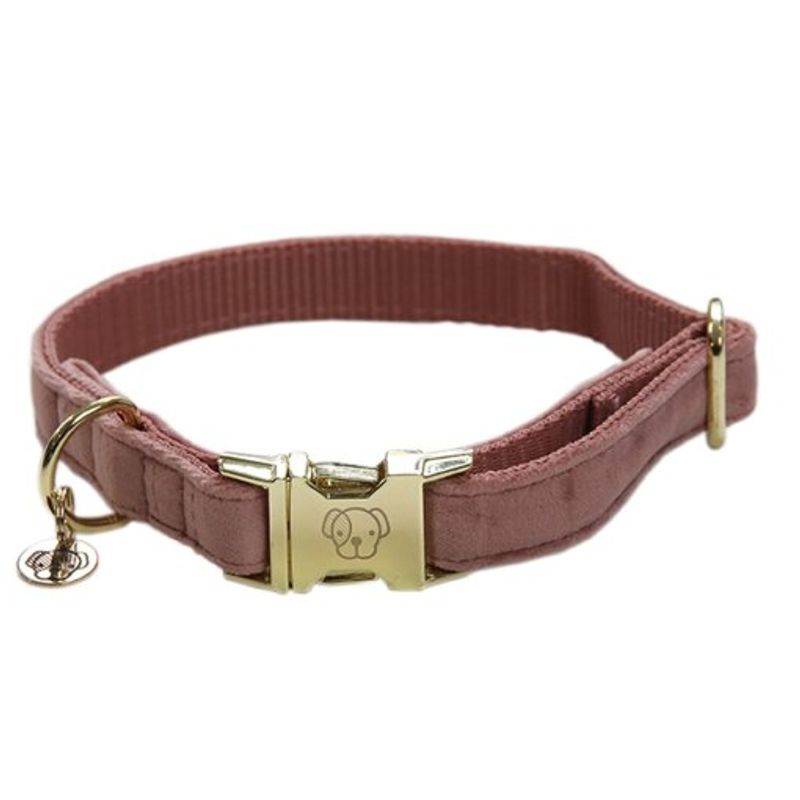 Kentucky Dog Collar Velvet