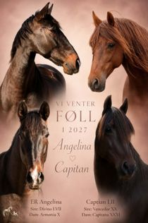 F&oslash;ll ventes 2027 (Angelina & Capitan)